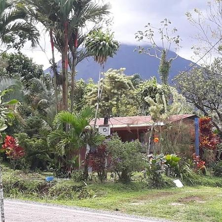Casa Rural Aralia ラ・フォルトゥナ エクステリア 写真