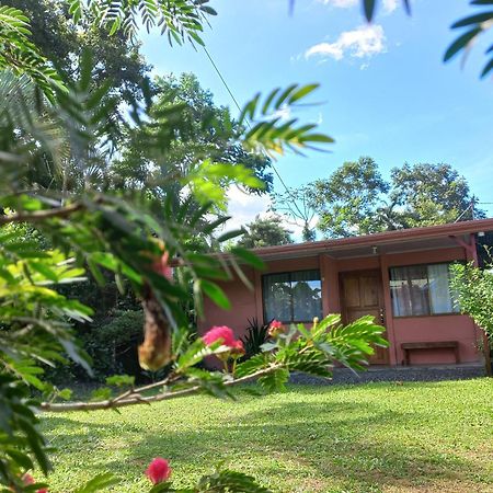 Casa Rural Aralia ラ・フォルトゥナ エクステリア 写真