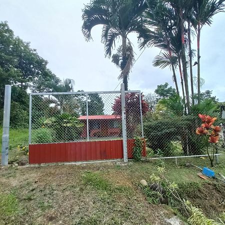 Casa Rural Aralia ラ・フォルトゥナ エクステリア 写真