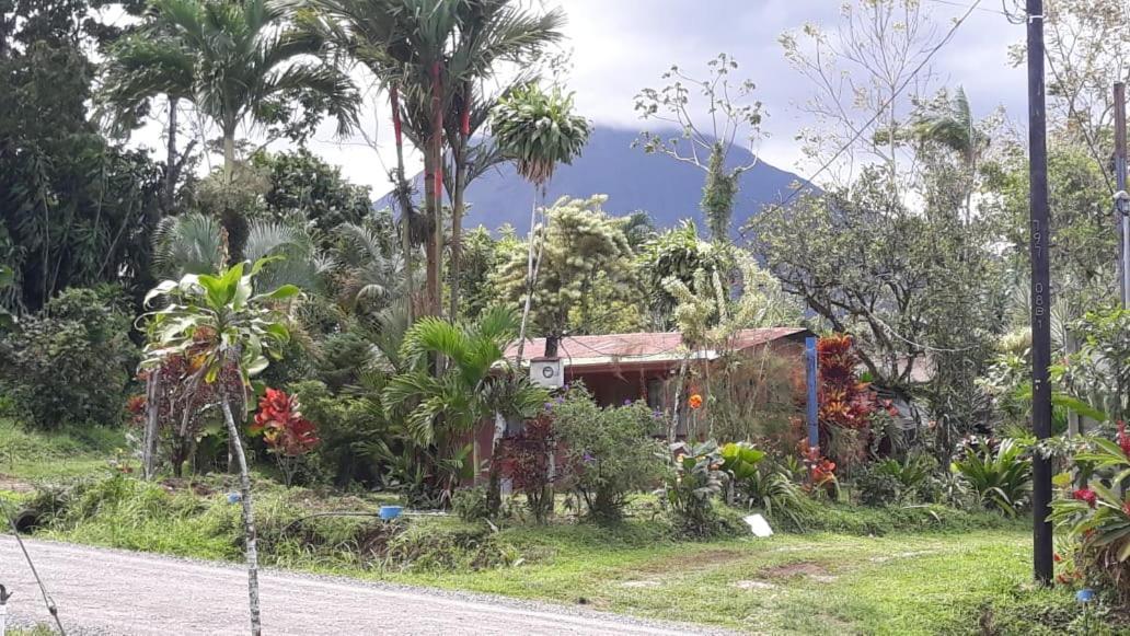 Casa Rural Aralia ラ・フォルトゥナ エクステリア 写真
