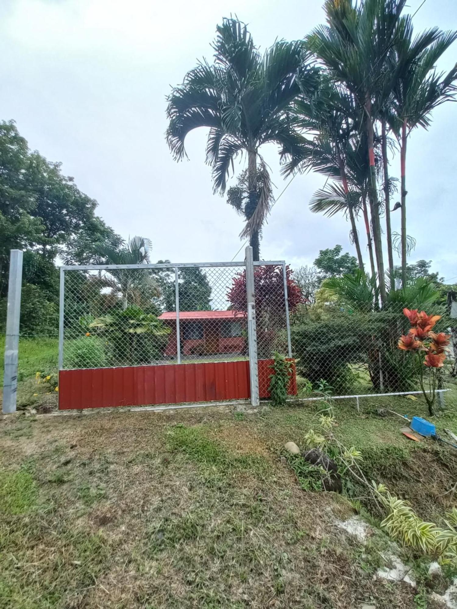 Casa Rural Aralia ラ・フォルトゥナ エクステリア 写真